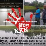 IMG-20250122-WA0011